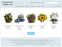 Tablet Screenshot of occasionsnaples.com